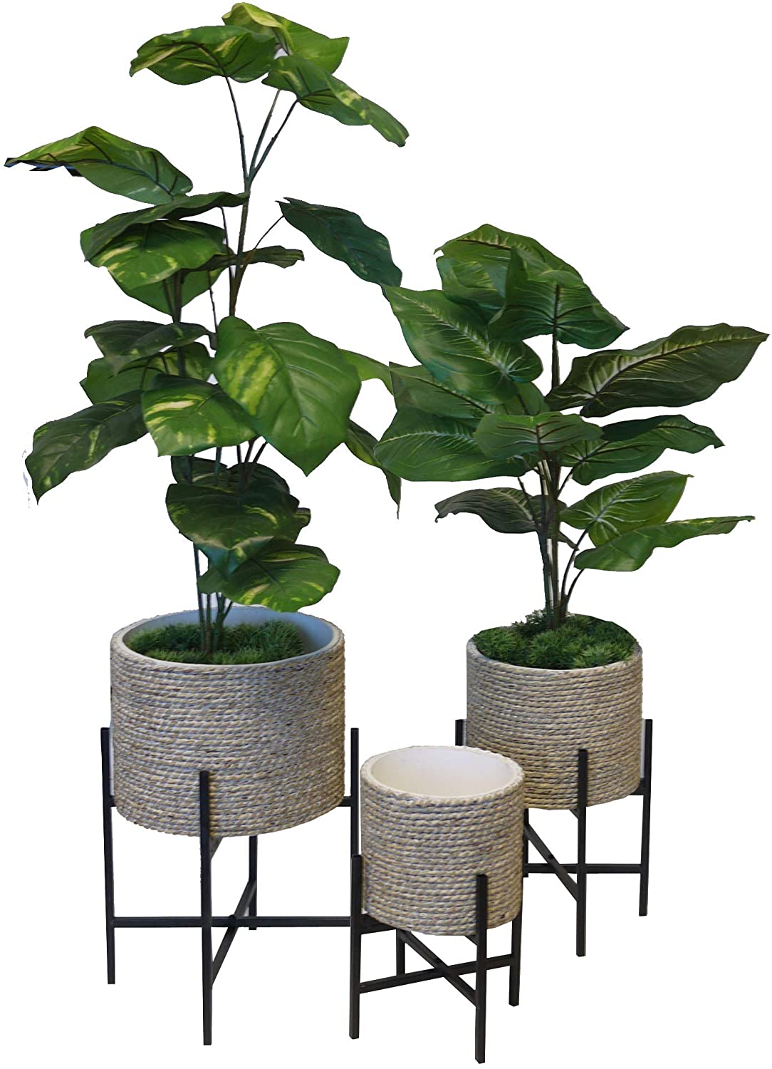 set of 3 indoor plant stands Plant Stand Metal Plant Stand, Set of 3 – Admired By Nature