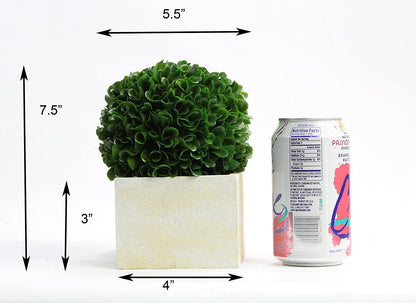 ABN5P009-GRN-2 7.5"H Faux  Artificial Boxwood Tabletop In Pot Set of 2