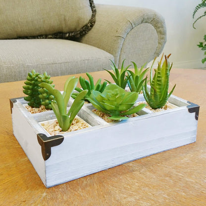 6 Compartment Succulent Wooden Planter Pot Organizer Storage