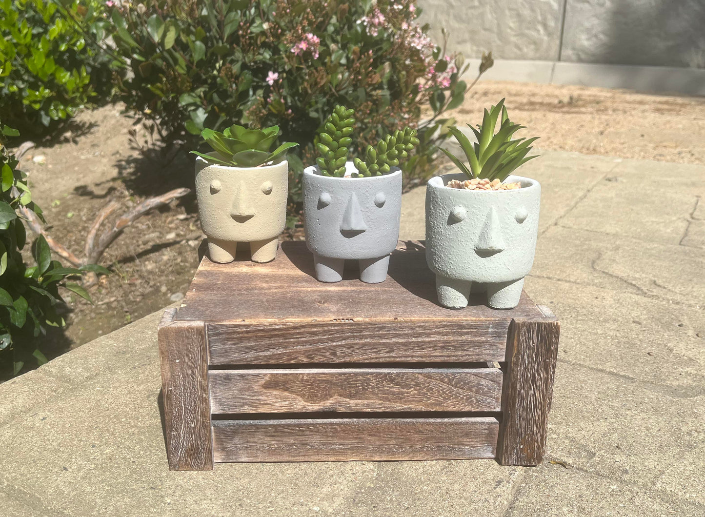 3.25" Cute Ceramic Face Planter Pot