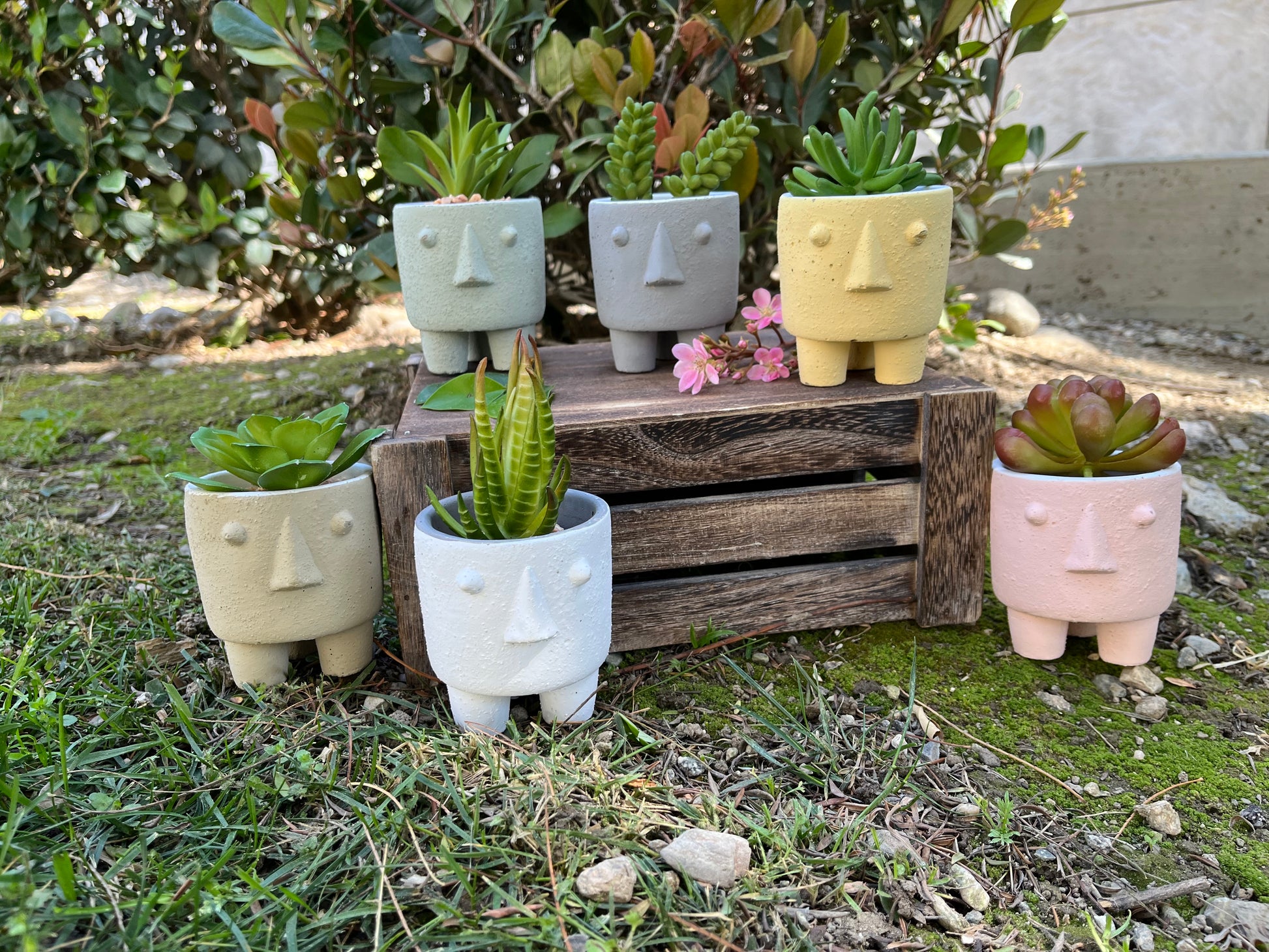 6 indoor plant pot Admired By Nature 3.25" Set of 6 Cute Face Planter Pot Plant, Succulent Ceramic Pot Planter, Plant Pots Indoor Ceramic, Houseplant Ceramic Pot, Decorative Planter Indoor Plants Home Décor, Multi Color