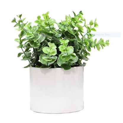 8.25"H Artficial Frosted Ruscus Ceramic Potted Plant Indoor Faux Plant