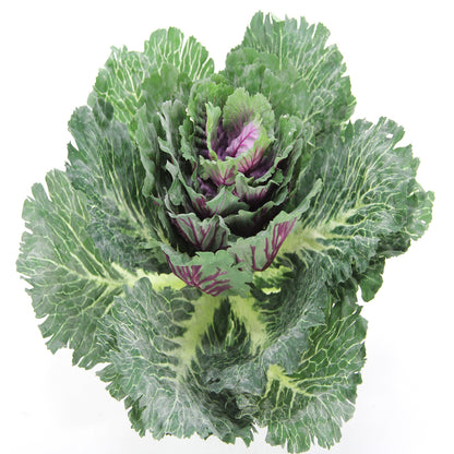 Faux Cabbage Artificial Vegetables