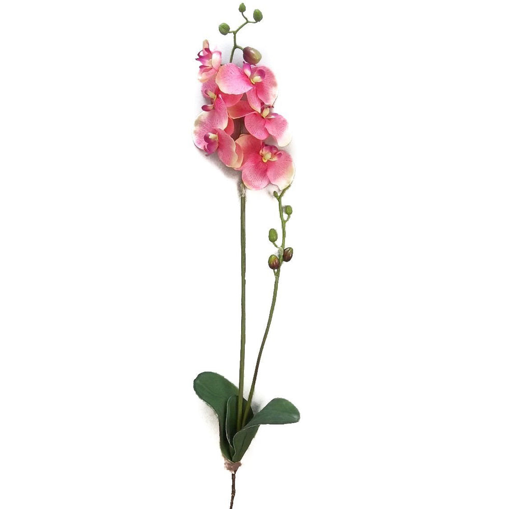 GPL951-BEAUTY - 30"H Artificial Orchid Phalaenopsis Spray Velvet